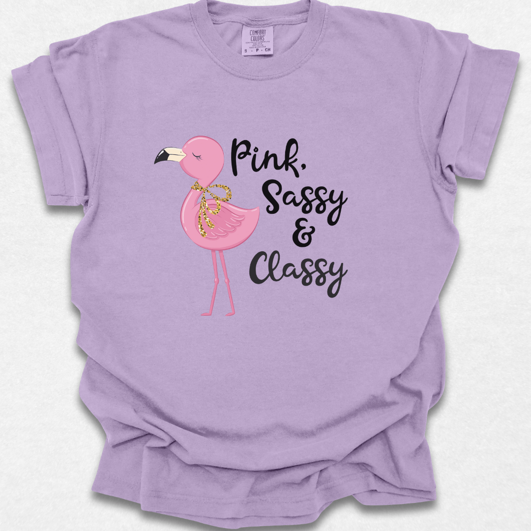 Pink, Sassy, & Classy T-shirt