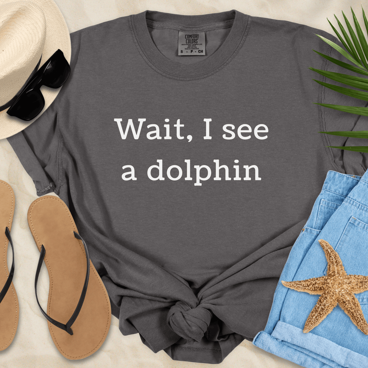 Wait, I See A Dolphin T-Shirt T-Shirt