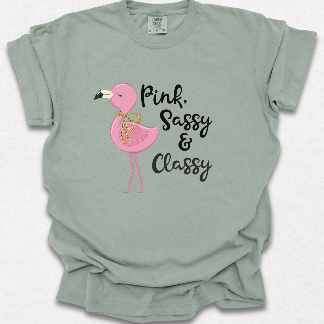 Pink, Sassy, & Classy T-shirt