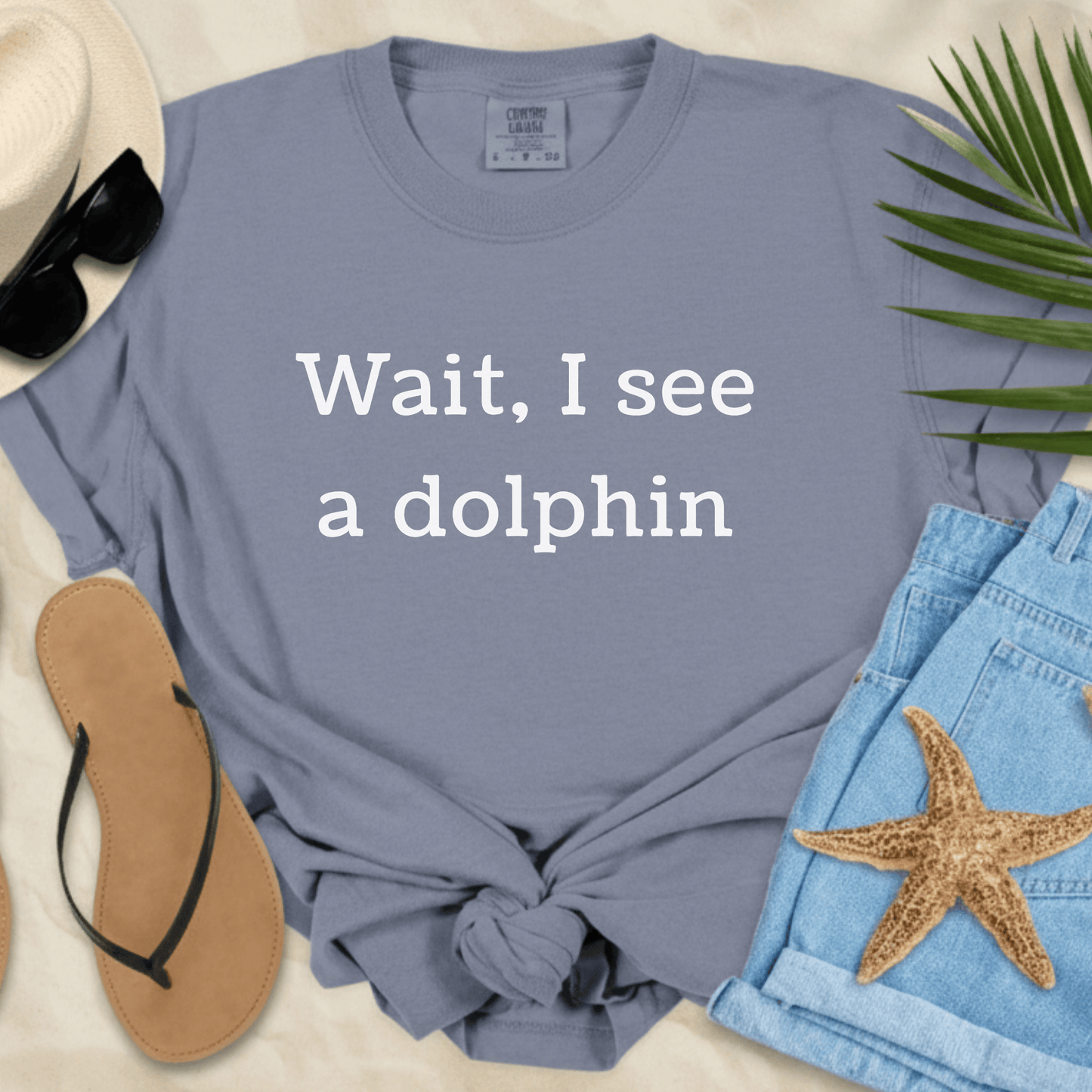 Wait, I See A Dolphin T-Shirt  T-Shirt